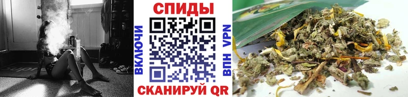 hydra   Белый  Бутират бутандиол 