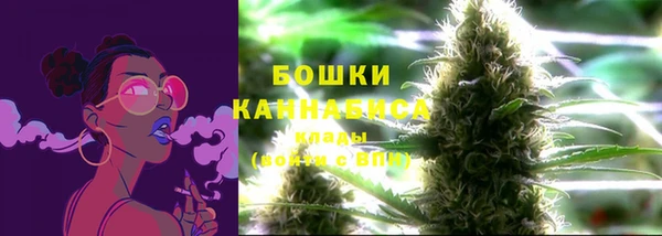 дурь Сосновка