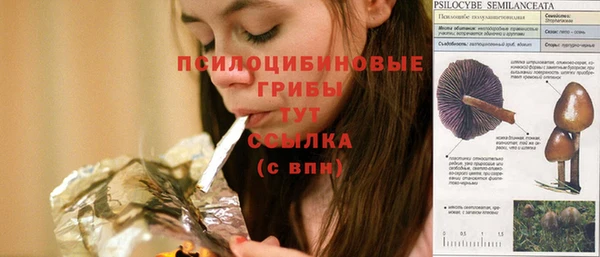 сатива Балахна
